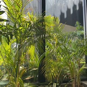 Meet your Posher, Summer